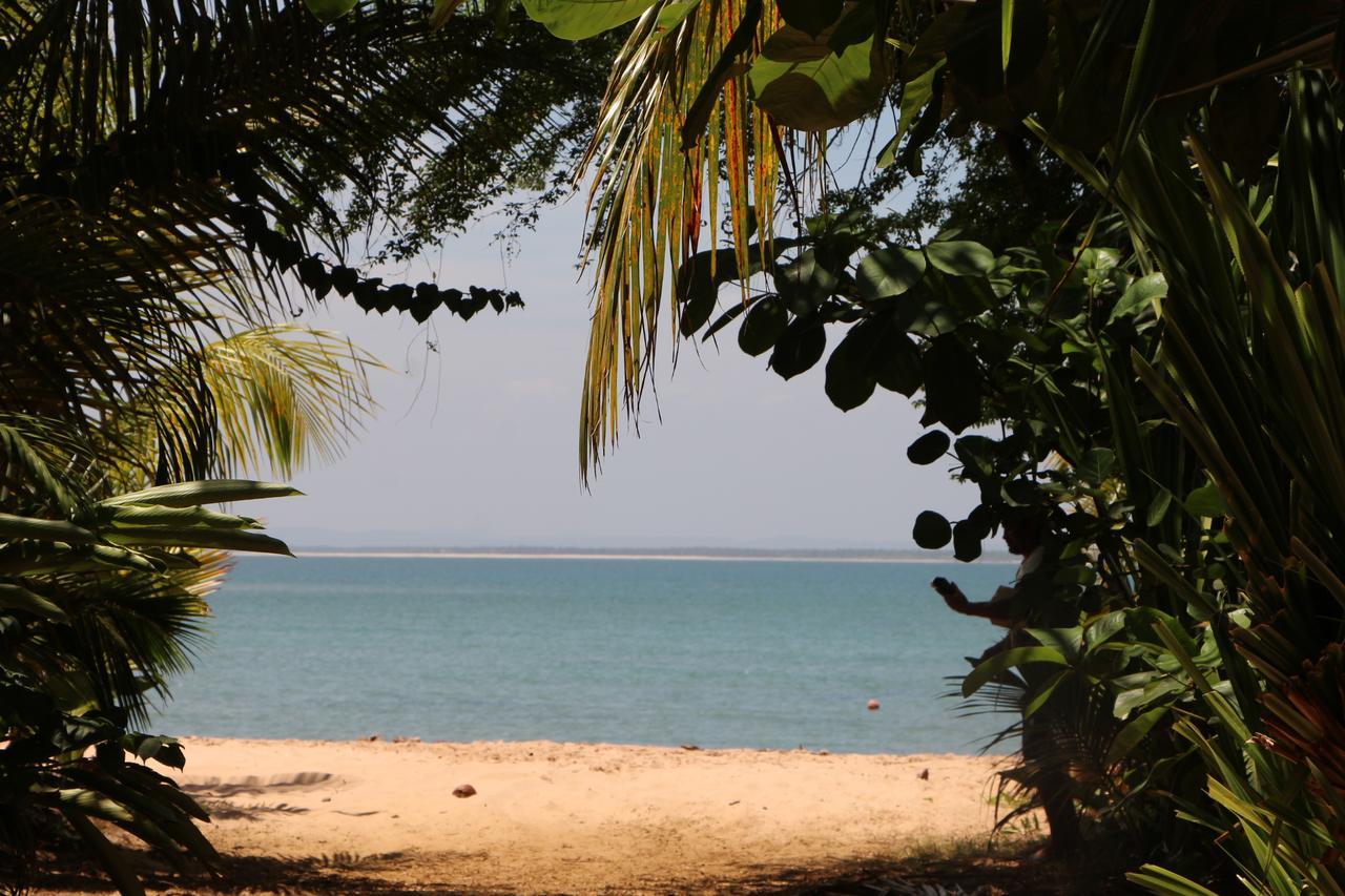 Coroaci Beach House Barra Grande  Eksteriør bilde